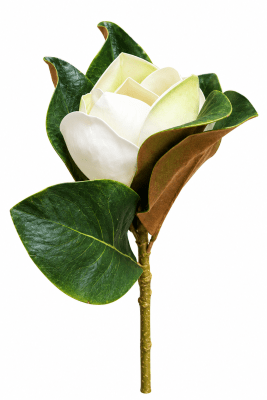 FLORAL MAGNOLIA PICK