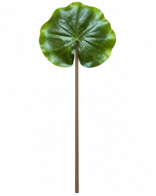 FLORAL LOTUS LEAF STEM