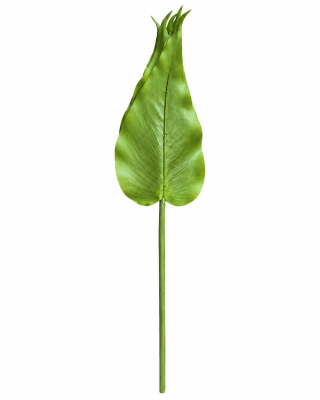 FLORAL CALLA LILY LEAF X6