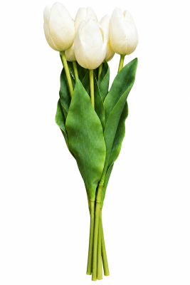 FLORAL RT TULIP BUNDLE X6