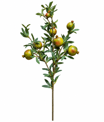 FLORAL POMEGRANATE SPRAY