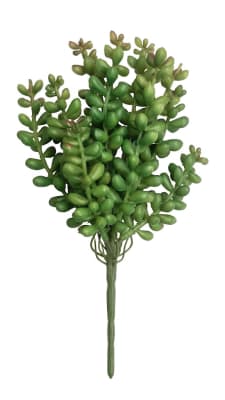 FLORAL SECCULENT SEDUM
