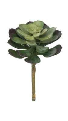 FLORAL SUCCULENT - III