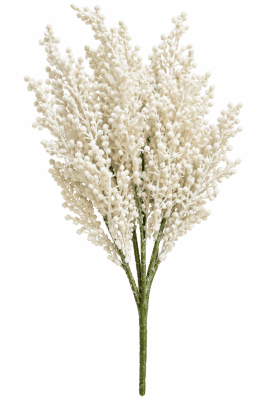 FLORAL WILD WHEAT