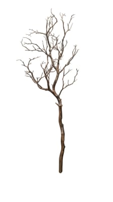FLORAL MANZANITA TREE BRANCH - II