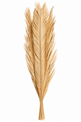 FLORAL DRIED PALM LEAF