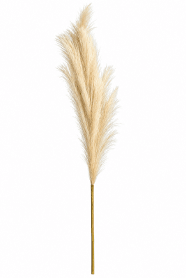 FLORAL ARTIF PAMPAS XLG