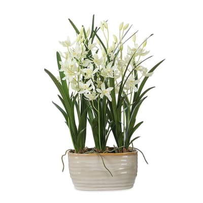 ARREGLO ARIANA ORCHID