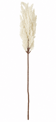 FLORAL PAMPAS