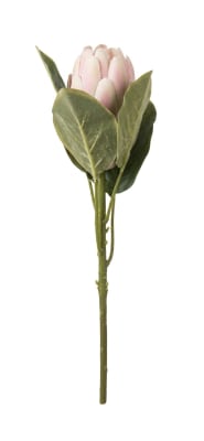 FLORAL PROTEA SINGLE II