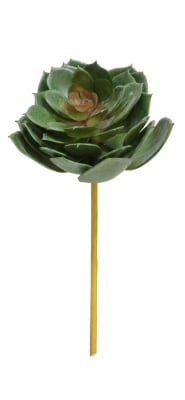 FLORAL SUCCULENT ECHEVERIA