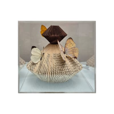 BUTTERFLY BOX V BUTTERFLY BOX V