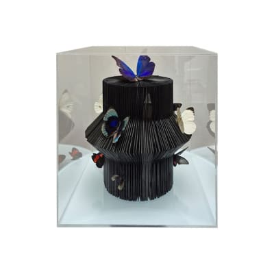 BUTTERFLY BOX I BUTTERFLY BOX I