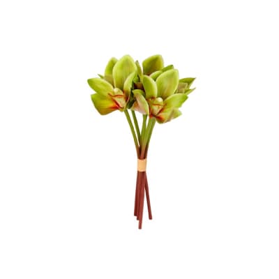 MAGNOLIA VERDE