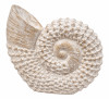 ESCULTURA CARACOL1