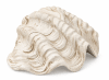 ESCULTURA CONCHA BEIGE1