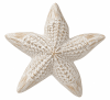 ESCULTURA ESTRELLA DE MAR1