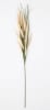 FLORAL ASTILBE SPRAY X21