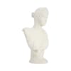 ESCULTURA DARCY1