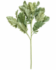 FLORAL DUSTY MILLER SPRAY2