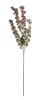 FLORAL EUCALYPTUS LEAF1