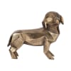 ALONA GEO DOG1
