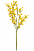 FLORAL GOLDEN WATTLE SPRAY MIMOSA1