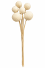 FLORAL BELL CUP STEM BLEACHED1