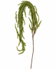 FLORAL MOSS HNG SPRAY2