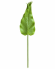 FLORAL CALLA LILY LEAF X62