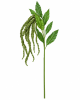 FLORAL AMARANTHUS HNG SPRAY2