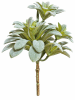 FLORAL SUCCULENT PICK II1