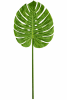 FLORAL MONSTERA XLARGE2