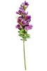 FLORAL SWEET PEA SPRAY1