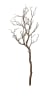 FLORAL MANZANITA TREE BRANCH - II1