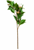 FLORAL CAMELLIA BUD L1