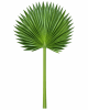 FLORAL PALM LEAVES1