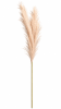 FLORAL ARTIF PAMPAS1