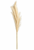 FLORAL ARTIF PAMPAS XLG1