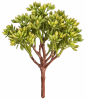 FLORAL SEDUM BUSH SOFT1