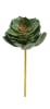 FLORAL SUCCULENT ECHEVERIA1