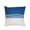 COJIN AZUL HORIZONTAL1