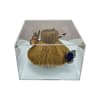 BUTTERFLY BOX III1