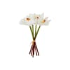 MAGNOLIA BLANCA1