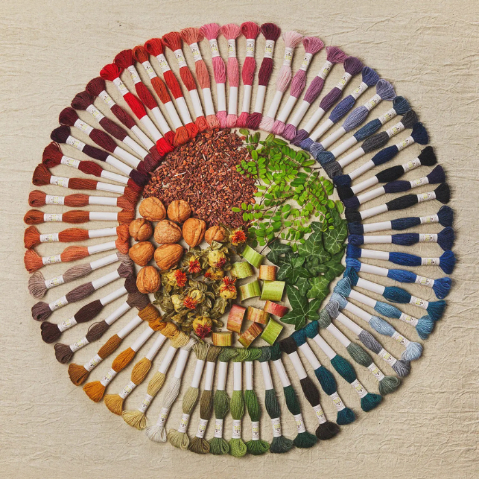 DMC ECOVITA - PALETA COMPLETA1