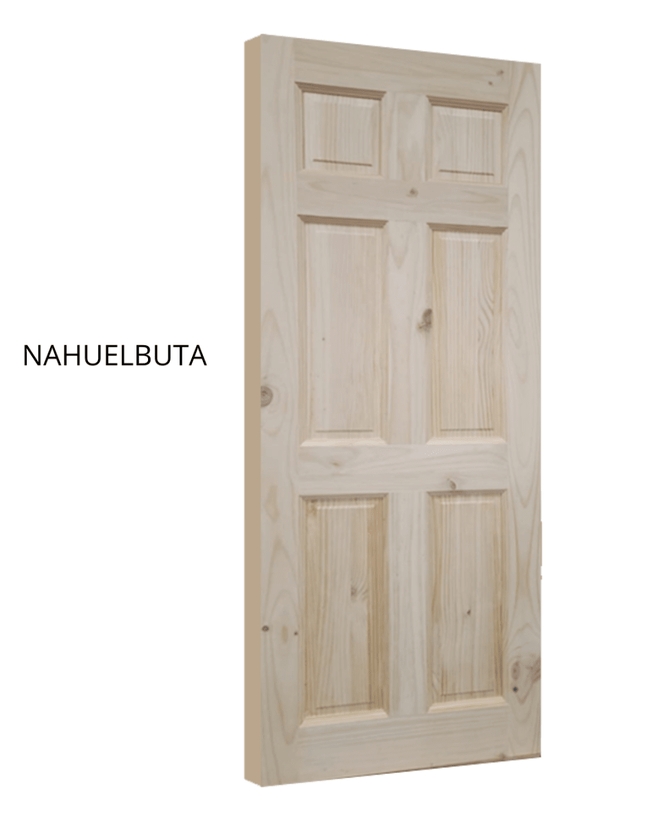PUERTA EXTERIOR NAHUELBUTA  70x2001