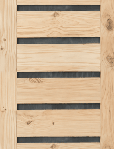 PUERTA EXTERIOR BIO BIO 100X2101