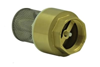 VALVULA RETENCION VERTICAL 2'' LATON CON FILTRO INOX1