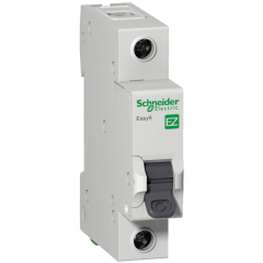Automatico Schneider