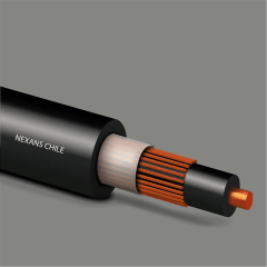 Concentrico 2x4mm